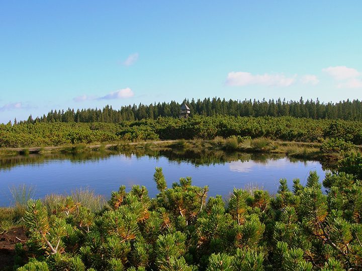 lovrenska jezera