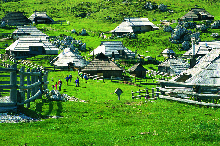 velika planina