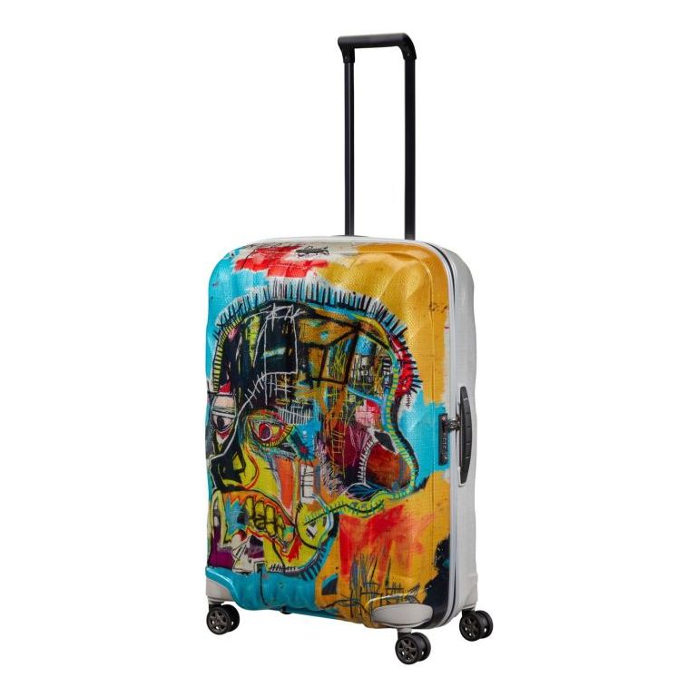 Potovalni kovček C-Lite - slika 34